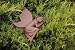 Callia an Earth Fairy Garden Statuary