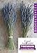 L+ Dried Lavender Bundles: Pure, Natural Home Decor and Fragrance. Bundles are Made from 100% Natural Local Farms Lavender, Perfect for Home Decoration, 2 Bundles
