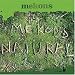 Mekons (Don't) Rule