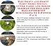 Book The Down and Dirty Earn More Money, Inner Game and Sales Models for Billiard Balls Internet Businesses 3 CD Power Pack