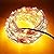 Qadira LED 33ft Copper String Lights 100 Leds, Waterproof Starry Wire Lights, DÃ©cor Rope Lights For Seasonal Decoration Christmas Holiday, Wedding, Parties-Warm White Color
