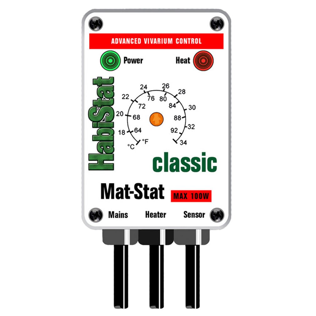 A Guide to Vivarium Heating Vivarium World