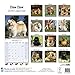 Chow Chow Calendar - Only Dog Breed Chow Chow Calendar - 2016 Wall calendars - Dog Calendars - Monthly Wall Calendar by Avonside