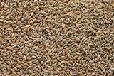 Save on Rye Malt (5 lb) by Briess