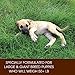 Holistic Select Natural Dry Dog Food, Large & Giant Breed Puppy Recipe, 30-Pound Bag
