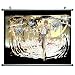 Death Note 18x14 Anime ArtPrint Scroll Poster 017C