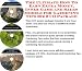 The Ultimate How To Earn Extra Money, Inner Game and Sales Models for Gardening Tips Biz 3 CD Package