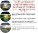 Book The Insider's Make An Extra Income, Success Principles and Biz Networking for Travel Mirrors On-line Biz Package (3 CDs)