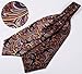 SetSense Men's Floral Jacquard Woven Self Cravat Tie Ascot