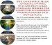 The Incredible Make An Extra Income, Success Principles and Sales Models for Computer Accessories Web Businesses 3 CD Power Pack