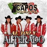 Al 100 Y Terado