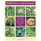Permaculture and Sustainable Agriculture