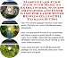 The Secret Earn More Money, Marketing and Inner Game for Laser Toner Refills On-line Businesses 3 Course Pack