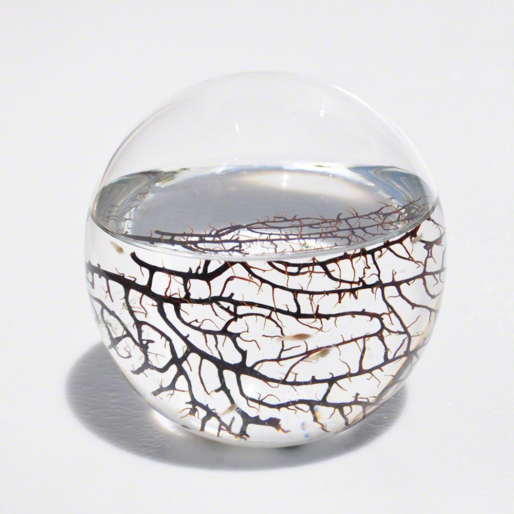 EcoSphere Medium Sphere 5.2 x 5.2 x 5.2 inches