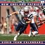 New England Patriots - Mini 2010 Mini Calendar