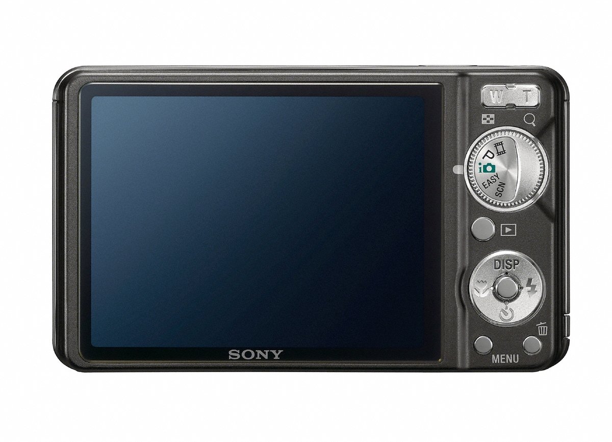 Sony Dsc W290
