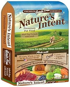 Nature's Intent Premium Pet Food Adult Formula with Lamb, 25 lb
