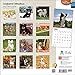 Longhaired Chihuahuas 2015 Wall Calendar