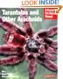 Tarantulas and Other Arachnids