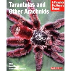 Tarantulas and Other Arachnids (Barron's Complete Pet Owner's Manuals)