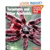 Tarantulas and Other Arachnids