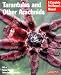 Tarantulas and Other Arachnids