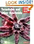 Tarantulas and Other Arachnids