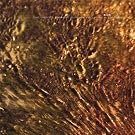 Thermals: Sonic-Carousels Tonesheets Loopstrata &