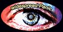 Widespread Panic - Oval Logo with Eye - Sticker / Decal