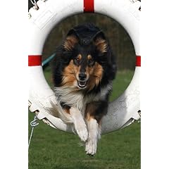 Agility. Zusammen- Spiel von Mensch und Hund