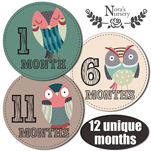 Owl Baby Monthly Stickers - Great Shower Gift or Scrapbook Photo Keepsake