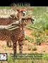 Nature Wonders KRUGER PARK South Africa