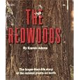 The Redwoods: The Larger-than-Life story of the noblest plants on earth