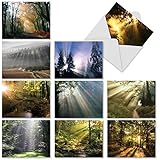M1735BN Shining Through: 10 Assorted Blank All-Occasion Note Cards Feature Sunlit Landscapes,w/White Envelopes.