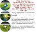 stretch_marks15stretch marks - The Insiders Promotion Success Principles and Inner Game