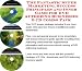 Book The Fantastic Super Marketing, Success Principles and Inner Game for DVD Authoring Businesses 3 CD Combo Pack