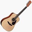 RD20S12 Acoustic Guitar