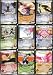 Search : 2003 Dragonball Z Kid Buu Saga TCG Lot of 12 Cards