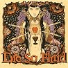 Image of album by Die So Fluid