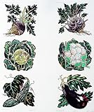Hand-Colored Etching Vegetable Panes 1 and 2 by Dan Mitra 10/750