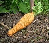 Knitted Toy Carrot