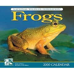 Frogs Calendar