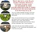 Book The Quick and Easy Earn More Money, Inner Game and eCommerce for Alphabet Flash Cards Internet Businesses 3 CD Power Pack