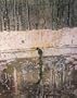 Peter Doig: Charley's Space