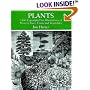 Plants: 2,400 Copyright-Free Illustrations of Flowers, Trees, Fruits and Vegetables (Dover Pictorial Archive Series)