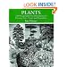 Plants: 2,400 Copyright-Free Illustrations of Flowers, Trees, Fruits and Vegetables (Dover Pictorial Archive Series)
