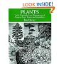 Plants: 2,400 Copyright-Free Illustrations of Flowers, Trees, Fruits and Vegetables (Dover Pictorial Archive Series)