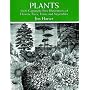 Plants: 2400 Designs (Dover Pictorial Archives): 2400 Designs (Dover Pictorial Archives)