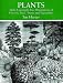 Plants: 2,400 Copyright-Free Illustrations of Flowers, Trees, Fruits and Vegetables (Dover Pictorial Archive Series)