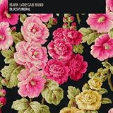 Blues Funeralby Mark Lanegan Band